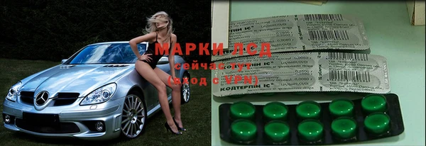 кокс Магас